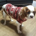 [코코토끼] 코코 와 토끼 _ <b>겨울옷</b> 편