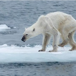 촛불집회할 때....