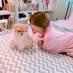 [에이핑크] <b>하영</b>이 프핑