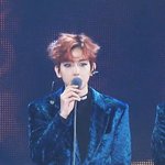 [EXO] 엑소엘은 아닌데