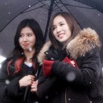 트와이스 일상이 시트콤인 멤버