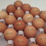 [EXO] 친환경13<b>박찬열</b>