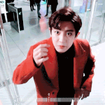 [EXO] 아 ㅅㅂ추반했던애인데
