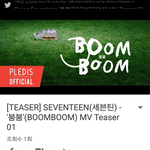 [세븐틴] ㅠㅠㅠㅠ 정한아 ㅠㅠ