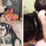 멍뭉이와의 행복한 추억 <b>재연</b>