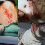 [꼭조언부탁] 추가. 안하무인 카페<b>업주</b> 신고했습니다(방탈죄송)