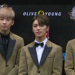 [세븐틴] 잠시 심신의 <b>안정</b>을...