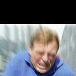 [세븐틴] <b>돌이</b>되어라 애들아..