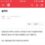 [세븐틴] 솔직히<b>글</b> ㅂㅁㄱ <b>내용</b>잇어!!