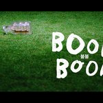 [세븐틴] 근데 나만 그른갘ㅋㅋㅋㅋㅋㅋㄱ