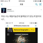 지금 아미들