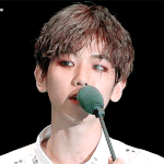 [EXO] <b>핏줄</b>이엇구나..