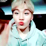 [세븐틴] 승관이 덕질이란 단어도 쓰고...