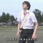 [공판] 근데 확통에서 표본비율있잖아