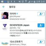 [세븐틴] ㅅㄷ 애들 짹 팔로잉 항분 더 늘었다