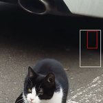 [EXO] <b>집사들</b> 들어와주셈 ㅈㅂ ㅜㅜㅜ