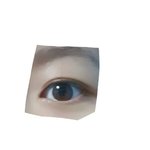 와 <b>쌍</b><b>테</b>로 아웃라인 됨