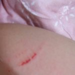 (사진ㅇ)집안에서 왕따당하는것같아요.