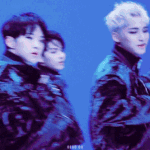 [세븐틴] 정말 너무 떨린다 캐럿들