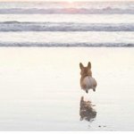 [19] <b>사제지간</b>으로 야한망상부탁해