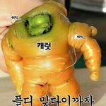 [세븐틴] 내가 이러려고 공식 1기 가입했나..
