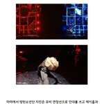 [댓글부탁해] 대단한 <b>방탄소년단</b> 지민