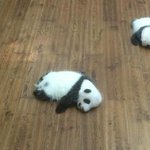 [댓글부탁해] 얘들아ㅏ. . .<b>허리</b>가 너무 아파서 일어나지를 못하겠어