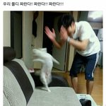 [세븐틴] 플<b>디야</b> 진입1위할생각하니 설레니?