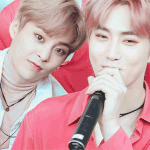 [EXO] 야 존무 해석한거보면