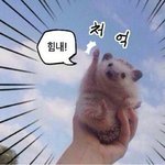 [드루와] 오늘이나 곧 시험치는 애들!