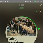 [세븐틴] 스밍초본데
