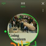 [세븐틴] 에구 어그로 너무 많이 꼬이네