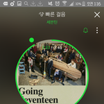 [세븐틴] <b>서양</b>수박쓰는캐럿들