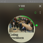 [세븐틴] 입스밍들 잘들어
