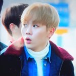 [세븐틴] 응원법본 <b>캐럿</b>들 상황..