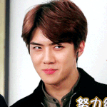[EXO] 언냐들 새호니네 앨범 <b>사</b><b>줄</b>꺼징??