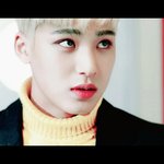 [세븐틴] 이 글 꼭 읽어봐줘 <b>캐럿</b>덜 :D
