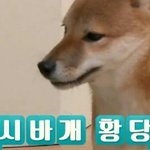 [EXO] 야 오늘 우리학교 과학쌤이 <b>망언</b>함;;