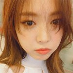 매력터지는 '멍냥이' 아이돌 모음