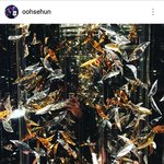 [세훈] 161205 훈스타<b>그램</b>1