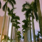 [EXO] 이거걍 <b>장소</b>사진아님?