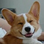 [뉴트] 담에 인수따 깔면 팔로<b>하셈</b>