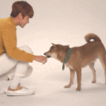 [EXO] 너네 백현이 강아지짤 <b>표정</b> 봄?ㅋ ㄱㄱ