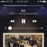 [세븐틴] 근데 경고 받았던 홈마들 <b>공식행사</b>