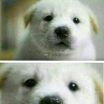 <b>공정</b>한 시상식