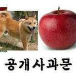 [EXO] 정말<b>죄송</b>합니다 땅굴분들