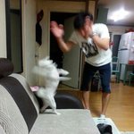 [ㅋㅋㅋㅋㅋ] +)버스에 중딩남자애들 졸귀여움 ㅋㅋㅋㅋㅋㅋㅋ