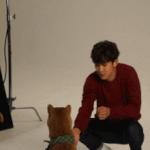 [EXO] <b>시바견</b> 속이기
