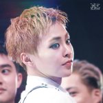 [EXO] 탐라에서 방금주웠는데 ㅅㅂ개오바여서 <b>올림</b> 줍해라