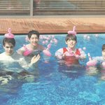 [세븐틴] ㅅㄷ?<b>이사진</b>은 어디에있능거야?
